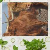 ブラウニー美しい:威厳のある大きな茶色の高地の牛 キッチンタオル (折り畳み)