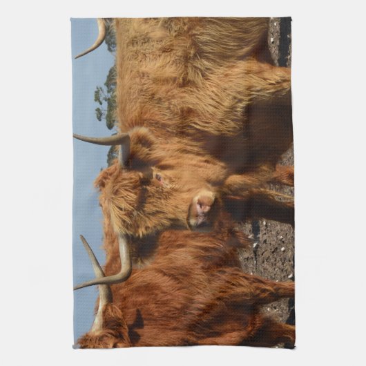ブラウニー美しい:威厳のある大きな茶色の高地の牛 キッチンタオル (縦)