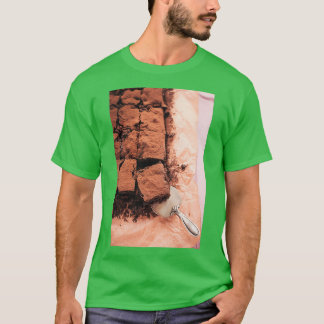 ブラウニー Tシャツ