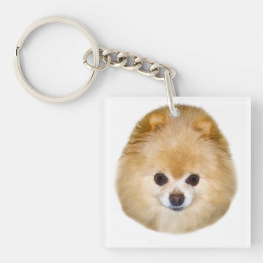 ブラウンおよび白いポメラニア犬犬 キーホルダー (正面)