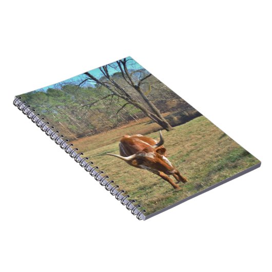 ブラウンおよび白い長角牛のBullの青空 ノートブック (右側)