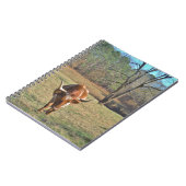 ブラウンおよび白い長角牛のBullの青空 ノートブック (左側)