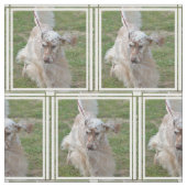 ブラウンおよび白人の英国セッター ファブリック (見本)