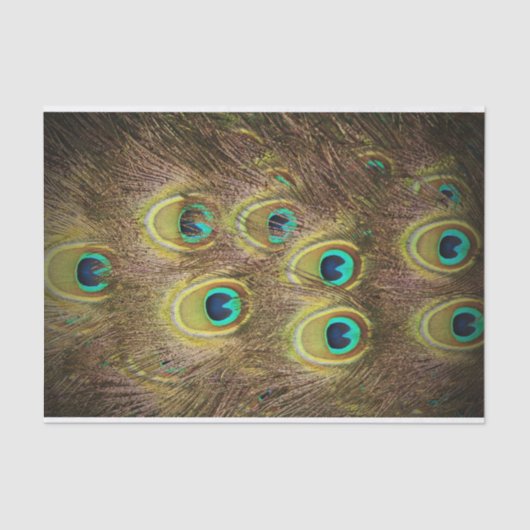 ブラウンおよび金ゴールドの孔雀の羽 薄葉紙 (正面)