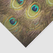 ブラウンおよび金ゴールドの孔雀の羽 薄葉紙 (詳細)