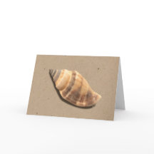 ブラウンとタンのストライプのコンチシェルのグリーティングカード