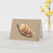 ブラウンとタンのストライプのコンチシェルのグリーティングカード カード (黄色い花)