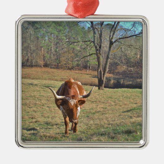 ブラウンとホワイトロングホーンのブルブルースカイ メタルオーナメント (正面)