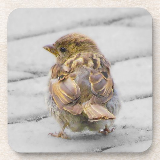 ブラウンのすずめ コースター (正面)