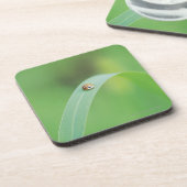 ブラウンのてんとう虫 コースター (左側)