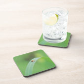 ブラウンのてんとう虫 コースター (右側)