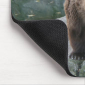 ブラウンのコディアックヒグマ マウスパッド (コーナー)
