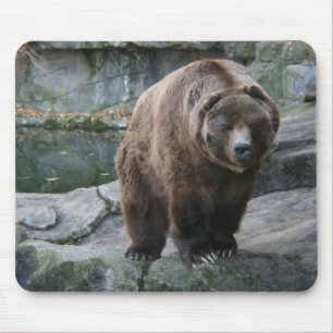 ブラウンのコディアックヒグマ マウスパッド