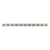 ブラウンのタコのヴィンテージの地図のコンパス サテンリボン (正面)