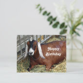 ブラウンのヌビアンヌ goat の写真 誕生日 ポストカード (スタンド正面)