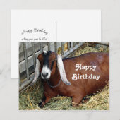 ブラウンのヌビアンヌ goat の写真 誕生日 ポストカード (正面/裏面)