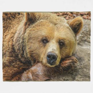 ブラウンのハイイログマはフリースブランケットに関係します フリースブランケット