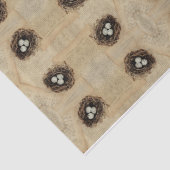 ブラウンのベージュ鳥の擬卵のモダンのヴィンテージ 薄葉紙 (詳細)