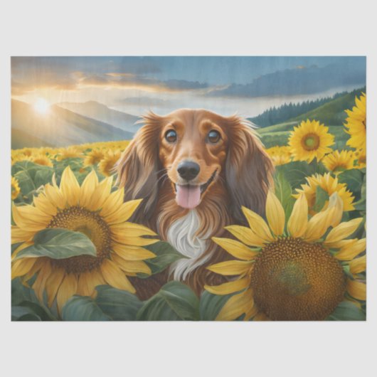 ブラウンのロングヘアダックスフントとひまわりを愛する子犬 薄葉紙 (正面)