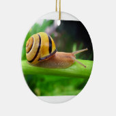 ブラウンの唇があるかたつむりのCepaea Nemoralis果樹園のかたつむり セラミックオーナメント (右)