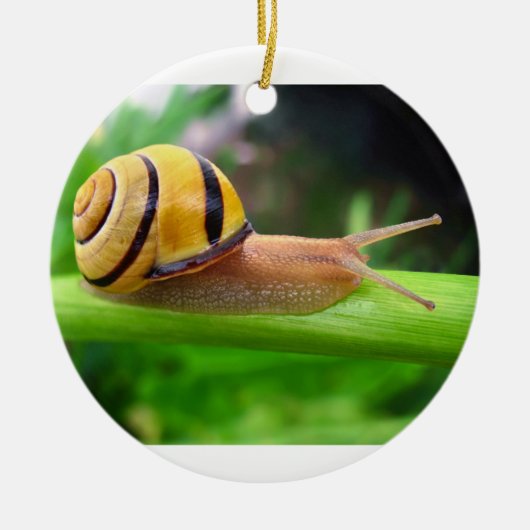 ブラウンの唇があるかたつむりのCepaea Nemoralis果樹園のかたつむり セラミックオーナメント (正面)