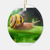 ブラウンの唇があるかたつむりのCepaea Nemoralis果樹園のかたつむり セラミックオーナメント (左)