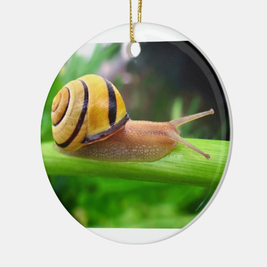 ブラウンの唇があるかたつむりのCepaea Nemoralis果樹園のかたつむり セラミックオーナメント (左)