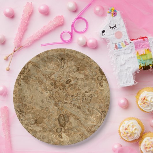 ブラウンの大理石の化石の一見 ペーパープレート (パーティー)