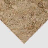 ブラウンの大理石の化石の一見 薄葉紙 (詳細)