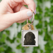ブラウンの子犬、ポートレート、クローズアップ キーホルダー (手)