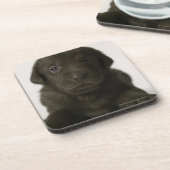 ブラウンの子犬、ポートレート、クローズアップ コースター (左側)