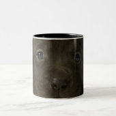 ブラウンの子犬、ポートレート、クローズアップ ツートーンマグカップ (中央)