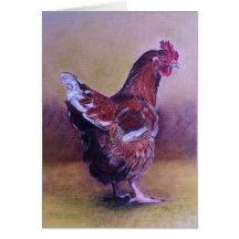 ブラウンの小さい雌鶏