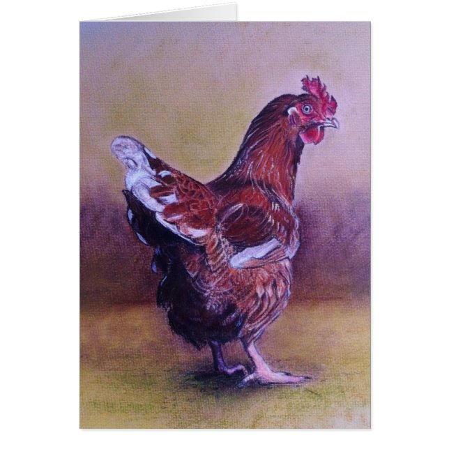 ブラウンの小さい雌鶏 (正面)