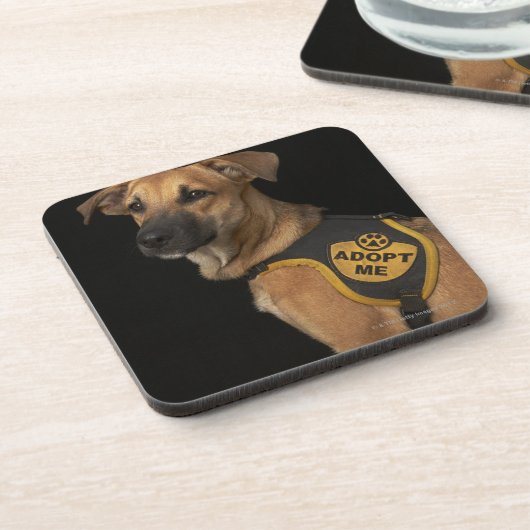 ブラウンの救助犬はとの私をベスト採用します コースター (左側)