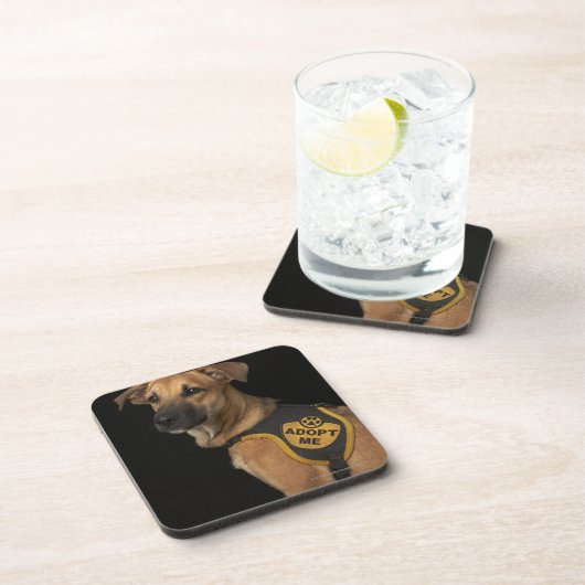 ブラウンの救助犬はとの私をベスト採用します コースター (右側)