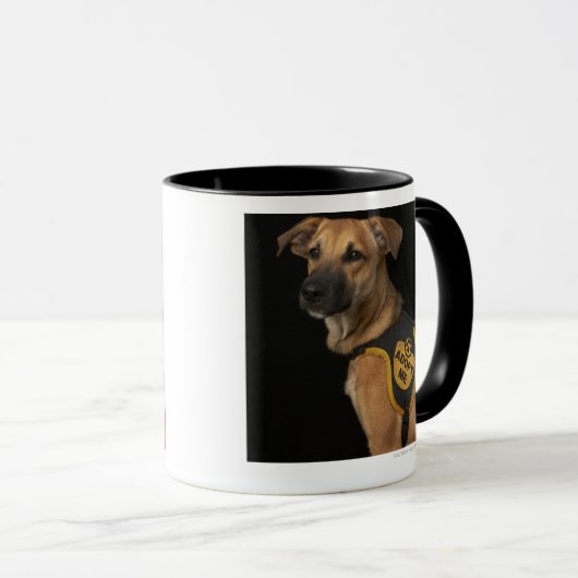 ブラウンの救助犬はとの私をベスト採用します マグカップ (正面右)