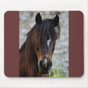 ブラウンの美しい馬 マウスパッド