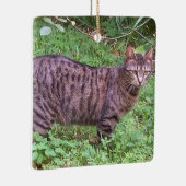 ブラウンの虎猫猫のアウトドア セラミックオーナメント (右)
