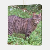 ブラウンの虎猫猫のアウトドア セラミックオーナメント (左)