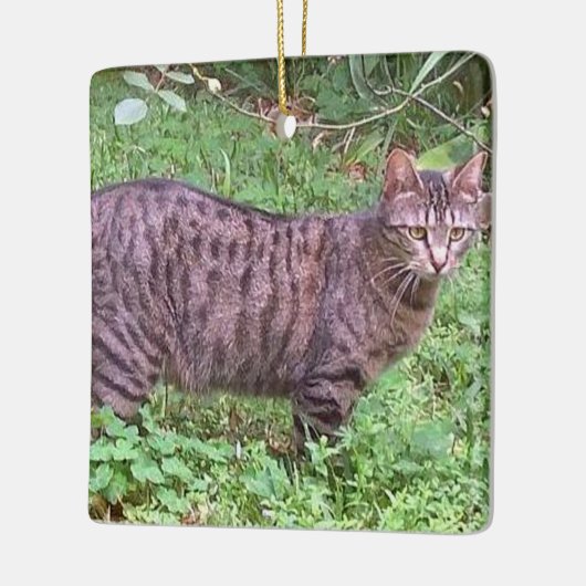 ブラウンの虎猫猫のアウトドア セラミックオーナメント (左)