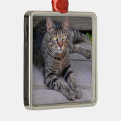 ブラウンの虎猫猫のアウトドア メタルオーナメント (右)