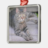 ブラウンの虎猫猫のアウトドア メタルオーナメント (左)