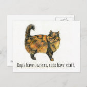 ブラウンの虎猫猫の郵便はがき ポストカード (正面/裏面)