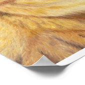 ブラウンの轟音ライオンのプリント11"x14" ポスター (角)