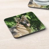 ブラウンの長い髪のジャーマン・シェパード1 コースター (左側)