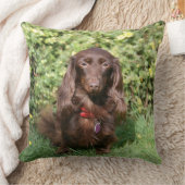 ブラウンの長い髪のミニチュアダックスフント クッション (ブランケット)