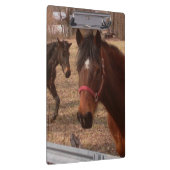 ブラウンの馬 クリップボード (右)