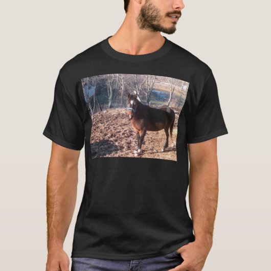 ブラウンの馬 Tシャツ (正面)