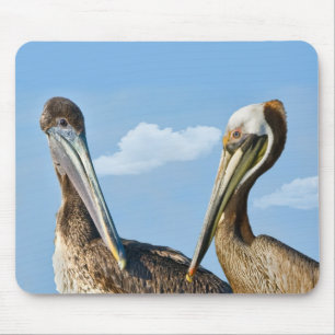 ブラウンの2羽のペリカンのマウスパッド マウスパッド